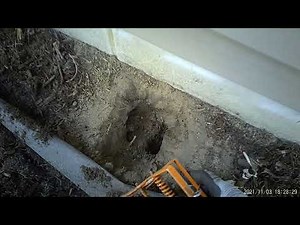 How to Set a MoleSlayer Mole Trap in Sandy Soil – Quick & Effective