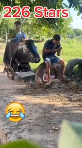 4.7K views · 188 reactions | Franchement la panique peut tue藍藍藍藍藍 Francamente, demasiado pánico puede matar. Code promo FAYEED88 | 226 Stars | Facebook