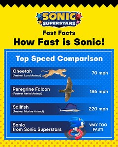 55 reactions · 3 comments | ⚡️ Let the Speed Debate Begin! ⚡️ We've matched up Sonic with some of the speediest animals on earth. Now is your turn to weigh in! Sound off in the comments section and let us know what are some of your favourite speedy facts  #SEGA #SonicSEA #SonicSuperstars | Sonic The Hedgehog SEA | Facebook