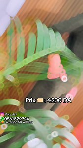 77K views · 46 reactions | https://www.vog-dz.com/shop?order=create_date+desc Profitez de -10 % sur votre commande dès maintenant ! La remise s’applique automatiquement au panier.  Commandez en message privé la livraison disponible le paiement espèce avec Yalidine express | Vog-dz | Facebook