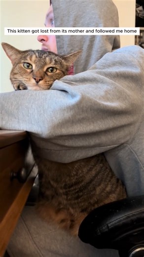 This tiny kitten got left behind… so we became her new family