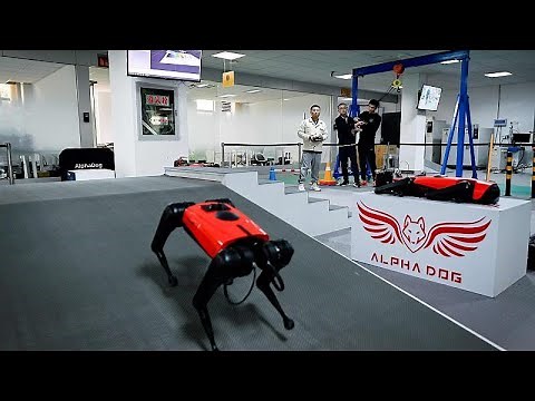 "AlphaDog", le robot-chien chinois le plus rapide du monde