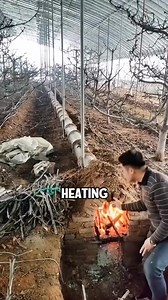 Farmers in China are lighting fires inside pipelines to protect their vegetables! But why? The reason might surprise you..... #chinese #farmers #reelschallengereelschallenge #contentmonetizationbeta #adsonreelsmonetization #reelstrending #trendingreelsvideo #instreamadsmonetization #facebookviral #reelsfacebook | 𝙝𝙖𝞺𝞺𝙞𝙣𝙣𝗲𝙨𝙨