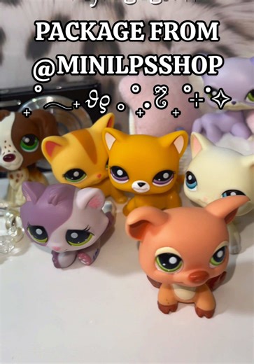 Unboxing Gorgeous New LPS from Mini LPS Shop