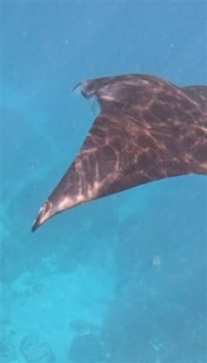 ‎מסביב לעולם עם דני • המלצות לטיולים בארץ ובעולם‎ on Instagram‎: "⁨ איך ישראלים נכנסים לבאלי ב-2025? 4 דרכים שעובדות! 🇮🇱✈️ הסוד נחשף! 🤫 4 הדרכים שישראלים יכולים להיכנס לבאלי היום👇🏻👇🏻👇🏻 🎯 דרך 1: דרכון זר הדרך הכי פשוטה! אם יש לכם דרכון זר, באלי היא יעד חובה לכל נווד דיגיטלי ✅ כניסה קלה ופשוטה ✅ אין צורך בוויזה מראש ✅ ללא עלויות נוספות 🎯 דרך 2: ויזת תיירות דרך סוכנויות תקבלו ויזה ל-60 יום לבאלי וכלל אינדונזיה! 