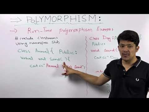 Polymorphism in C++ | OOP Concepts Explained with Examples | Hindi Urdu