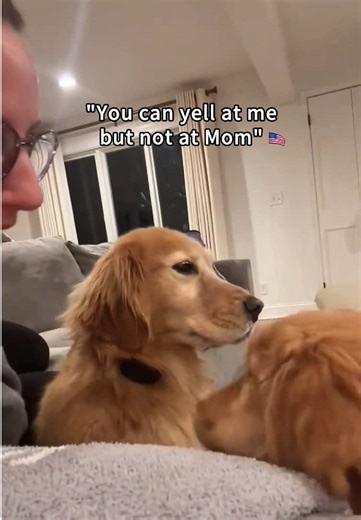 How a Well-Trained Dog Outshines Human Trainers