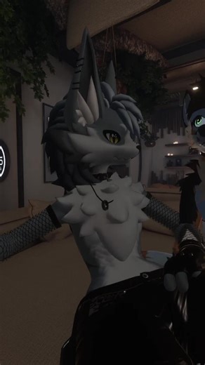 weekly sneeze | #zyphwolfy auf #Twitch #furry #vrcfurry #vrchat #strea...