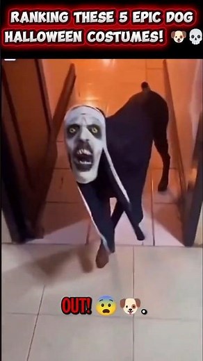 Ranking These 5 EPIC Dog Halloween Costumes! 🐶💀#dogs #halloween #scary