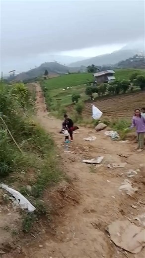 WATCH| Dangoyngoy sa handler sa usa ka kabayo nga namatay sa Digos City. Sumala sa nag-upload sa video nga si Anthony Albite, hubog ang handler nga sumala pang nabira ang renda sa kabayo rason nga natumba ang kabayo ug napakong sa bato. Video Courtesy: Anthony Albite Paminaw kanunay sa 91.9 iFM News Gensan for more updates-iFM - unsa pa'y answer? Matik! #iFMNews #iFMGensan #iFMGensanDigital | IFM Gensan Digital