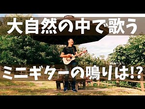 Recommended Mini Guitars ⑥ YAMAHA JR2 [Recommended for Beginners]