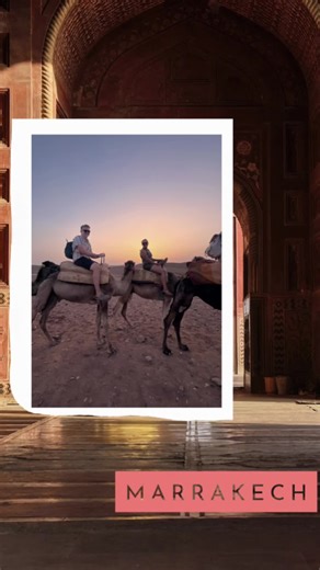 Taylor teacher travels on TikTok