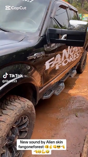 Alien Skin's Latest Song: New Sound from Fangone Forest