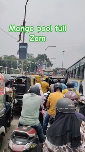 mango pool zam #mangopool #mangoflyover #mangopoolfullzam