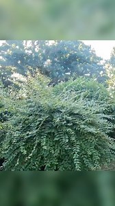 4 comments | The best way to get in shape  Lightweight yet powerful, our Multi Tool is perfect for cutting shapes - just ask @mikedaygm  #egopower #batterypowered #egomultitool | EGO Power Plus | Facebook