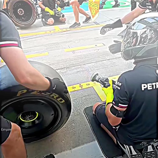 Daily Facts for Your Interest