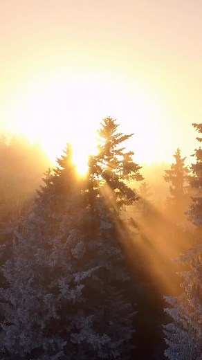 How do yu know you are integrating?🧿Titration Integration: 🧿The Real Way We Grow 🧿🧿🧿🧿🧿🧿🧿🧿🧿 ⛰️Think of healing like climbing a mountain—you don’t rush the summit. 🧿You pause, breathe, absorb, and then continue. WIth discipline you continue and keep moving forward. 🧿If you don’t practice creating endurance and the capacity to tolerate a spiritual journey, you may be restricting the depth of healing that is available. We teach women in midlife and perimenopause this very lesson. 🧿See 