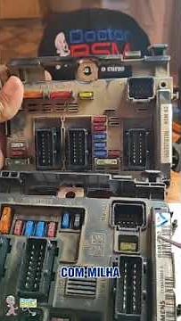 What's the difference between each BSM model? Come find out ✅😉