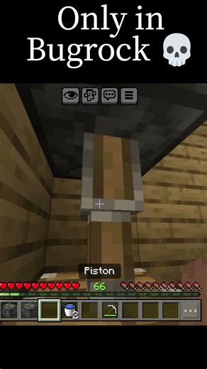 Only in bugrock 💀 #shorts