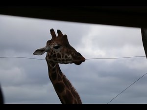 Fronius Primo 5 Installation Step 1