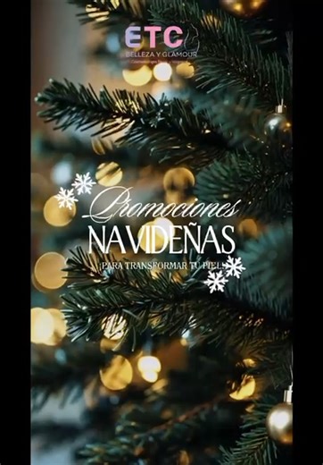 🎄✨ PROMOCIONES DE DICIEMBRE ✨🎄 Despide el año luciendo una piel espectacular y comienza el nuevo con tu mejor versión 💖 📲 744 680 7704 – Agenda tu cita 🪷 Centro Cosmetológico Erick Torres Correa 📍 Lomas del Mar #5, Costera Miguel Alemán (entre Telmex y Office Max) 💳 Aceptamos VISA y MASTERCARD 🎁 Regálate cuidado, belleza y confianza este diciembre | ETC Belleza y Glamour