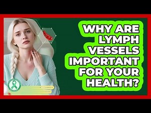 Why Are Lymph Vessels Important For Your Health?