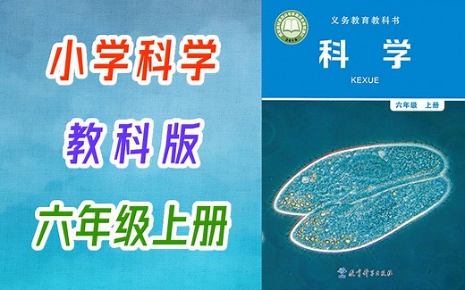 小学科学 教科版 六年级上册 2023新版 教学视频 科学6年级上册