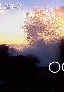 Moving Art: Oceans streaming: where to watch online?