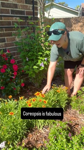 Don't overlook this native plant!