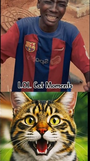 #Lolcatmoments 🏃😂🐱 #shorts #catshorts