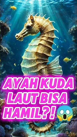 kuda laut:SI AYAH YANG HAMIL?!