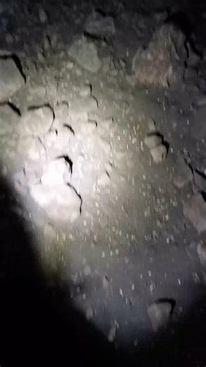 Majestic Summer Giants: The Wild Boars of Turkey” Hashtag: #TurkeyWildBoars #SummerGiants #Nature’sMarvels #TrophyBoars #türkiye #hunting #شکار #شکارچی @cbwildhunt @trophyboars | Trophyboars