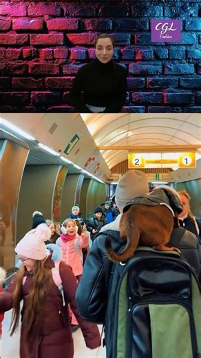 This Cat Stole the Show on Prague Metro 🐾 #praguemetro #streetfashion #catlife