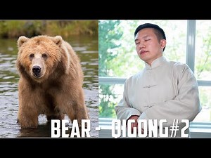Five Animals Qi Gong - Bear Form #2