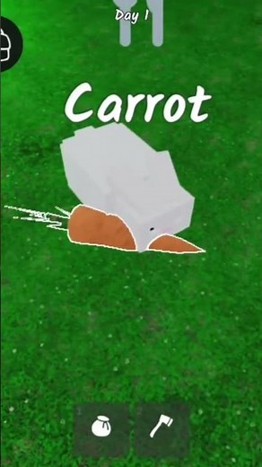 did the rabbit eat the carrot with out tameing the rabbit 👀✨🐇🐰🥕