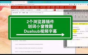 浏览器插件1、划词小窗搜题2、Dualsub视频字幕