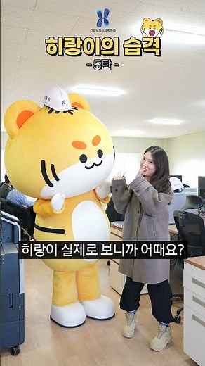 (#Hirang's Raid) A raid on the construction site of the Simpyeongwon Pyeongchang Training Center!?🐯