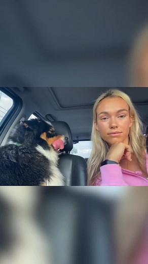 Mental Stimulation for Australian Shepherds