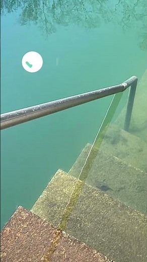 Plug & Swim