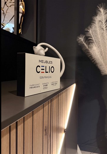 ✨ TOPAZE — la pièce maîtresse d’un séjour qui reçoit. ✨ Envie d’un intérieur qui en impose tout en restant ultra convivial ? La collection TOPAZE, signée Meubles CELIO (fabricant français), mixe lignes contemporaines, finitions élégantes et sens du détail. 🍽️ La table extensible TOPAZE s’adapte à votre quotidien comme à vos grandes tablées : grâce à ses rallonges, elle passe facilement en mode “repas en famille” ou “soirée entre amis”, tout en gardant un look sophistiqué. Plateau effet marbre /