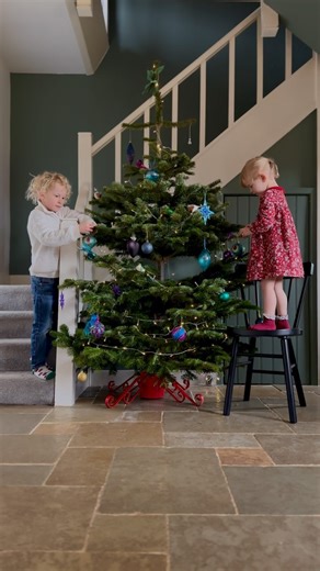 15K views · 622 reactions | The Grizzly Forager on Reels | Facebook