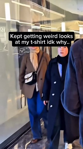 TeeRiffiClub | Funny Shirts on Instagram: "It’s just a pingu T-Shirt  whats Wrong ? #funnytshirt #memetee #offensivetshirt #memetshirt"