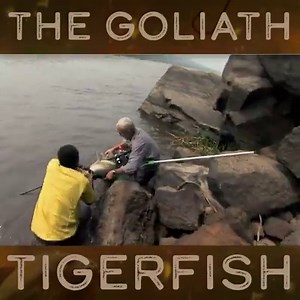 In the Congo River, Jeremy catches a monster which has been preying on un-suspecting victims. Growing to 6 feet long with the jaws and teeth of a crocodile, this is one monster you want to avoid. | River Monsters Global