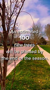 Eagle Mountain City Forester Alex Boydston is helping the community branch out, as nearly 100 new trees are planted by the end of the season, with more already scheduled for fall. Learn more about Eagle Mountain being recognized as "Tree City USA" by the Arbor Day Foundation since 2018 on the Wildlife Conservation page of the website. 🔗https://eaglemountain.gov/priorities-plans/wildlife-conservation/ #AscendTogether #GetOutside #CommunityDevelopment #ExploreUtah | Eagle Mountain, Utah - City Ha
