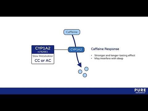 Caffeine Metabolism Trait - Pure Encapsulations