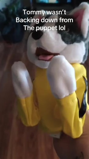 #puppet #toy #toyreview #tiktokshop #catsoftiktok | toys