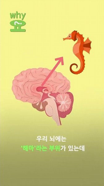 [Why요?] 우리는 왜 꿈을 꾸는 걸까? / 연합뉴스 (Yonhapnews)