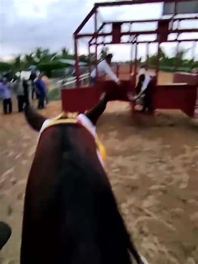 El 4G: Conquering 100k Views on TikTok