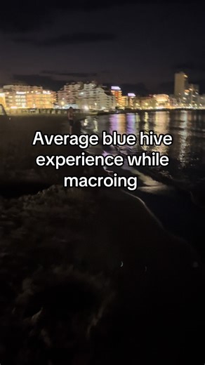 Blue Hive Macro Experience: Insights for 2025