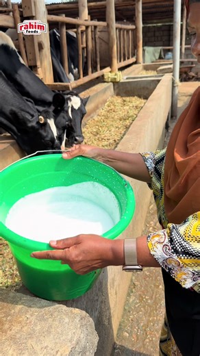 Easy Bongo Recipe: A Simplified Cooking Guide